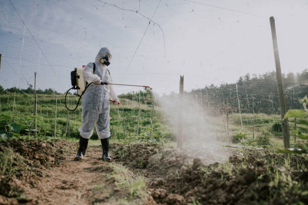 Best Residential Pest Control  in Shenandoah Farms, VA