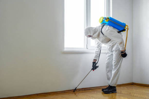 Best Pest Control for Restaurants  in Shenandoah Farms, VA
