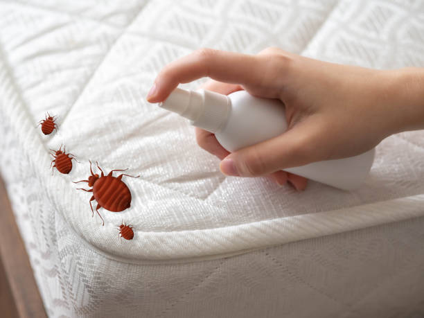 Best Bed Bug Extermination  in Shenandoah Farms, VA